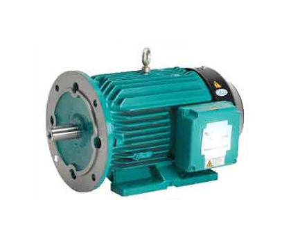 Induction Motors